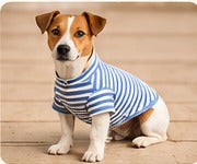 Dog shirt sewing pattern preview